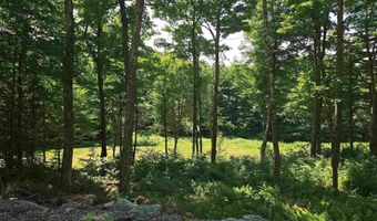 Sweeney Lane lot 49/50, Cambridge, VT 05464