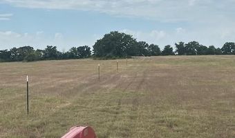 Tbd County Road 1480, Alvord, TX 76431