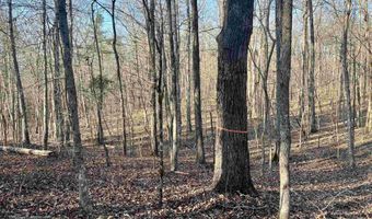 0009 SPRINGHOLLOW Rd Lot 9, Ashville, AL 35953