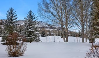 173 N Fairway Dr, Beaver Creek, CO 81620