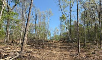 7900 Mineral Koleen Rd, Bloomfield, IN 47424