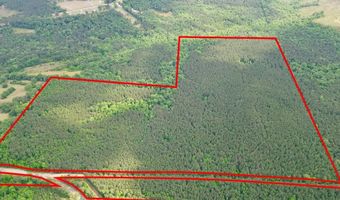 00 County Road 107, Ariton, AL 36311