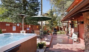 311 Midland Ave, Aspen, CO 81611