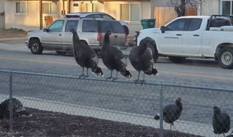 820 Maddox Ave, Aztec, NM 87410