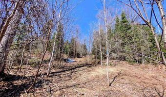 8 Acres E Cable Lake Rd, Amasa, MI 49903