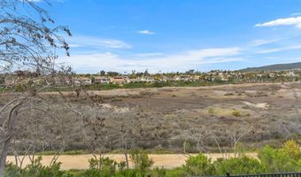 3238 Avenida Del Alba, Carlsbad, CA 92009
