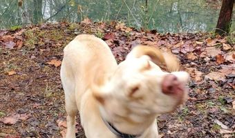 4775 S 50th Rd, Aldrich, MO 65601