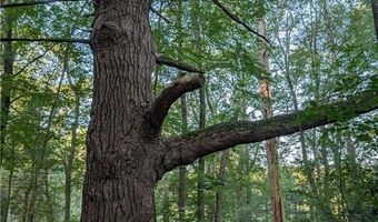 178 Pray Hill Rd, Glocester, RI 02814