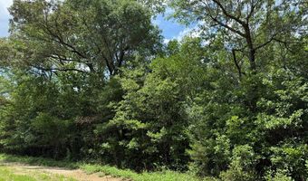 64 47 Ac Old Faceville Rd, Bainbridge, GA 39819