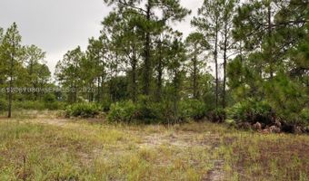 2321 Macarthur Ave, Lehigh Acres, FL 33920