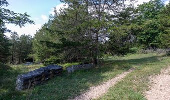ALUM SPRINGS ROAD, Basye, VA 22810