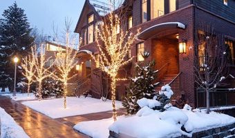 719 E Hopkins Ave 202, Aspen, CO 81611