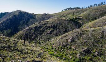 100 Canyon Gulch Rd, Bellvue, CO 80512