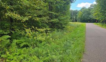 Tbd 162nd Street, Apple River, WI 54001