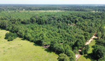 160 LR 717, Ashdown, AR 71822