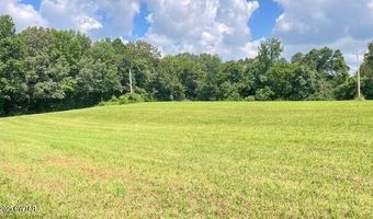 3945 Old Trezevant Rd, Atwood, TN 38220