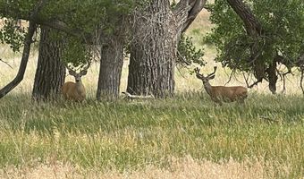 TBD County Road 170, Agate, CO 80101
