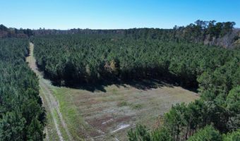 57 40 Acres-TBD Cades Rd, Cades, SC 29518