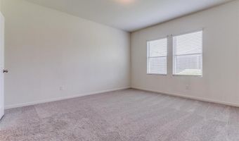 825 Cherry Blossom St, Anna, TX 75409