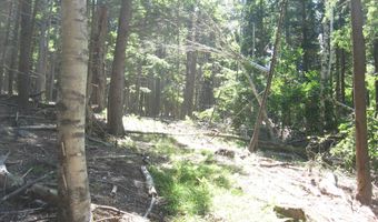 1260 Valentine Pond Rd, Adirondack, NY 12808