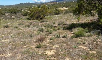 0 Scouts Ln, Anza, CA 92539
