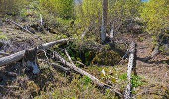 0 1680 NFS Rd, Unity, OR 97884