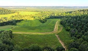 TBD Bear Pen Rd, Arkansaw, WI 54721