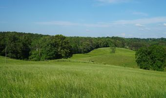 339 MCNUTT Rd, Bear Creek, AL 35543