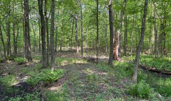 1055 42nd St, Allegan, MI 49010