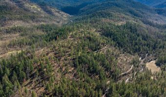 2829 Buckhorn Springs Rd, Ashland, OR 97520