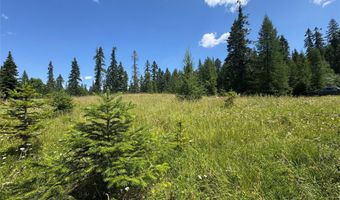 13643 Sundance Trl, Bigfork, MT 59911