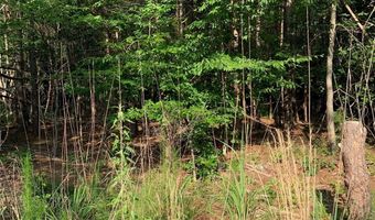 Rock House Road, Blacksburg, SC 29702