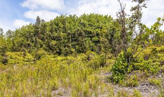 15-925 LEMIWAI Rd, Keaau, HI 96749