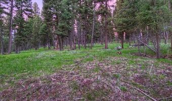 289 Seclusion Pt, Seeley Lake, MT 59868