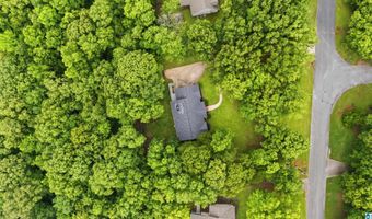 205 CHESTNUT Cir, Alabaster, AL 35007