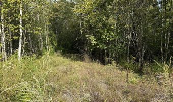 11 Bowling Green Ln, Belfast, ME 04915