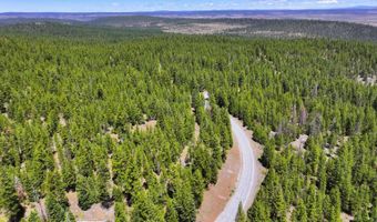 7792 California Pines Blvd, Alturas, CA 96101