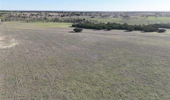 1385 W Fm 219, Hico, TX 76457