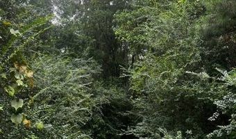10664 Burton's Ferry Rd, Allendale, SC 29810