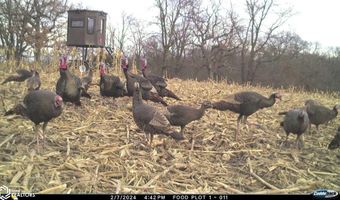 189 Th St, Albia, IA 52531