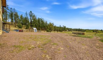 28 County Road 2310, Alpine, AZ 85920