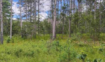 5 6 Acres 16th Ave Lot 3, Arkdale, WI 54613