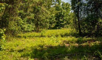 1311 N Jackson St, Brookhaven, MS 39601