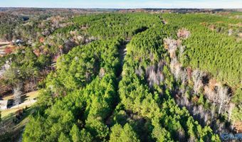 Lot 21 Arley Landing Drive, Arley, AL 35541