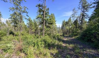 2008 SUMMIT VALLEY Rd Lot F, Addy, WA 99101