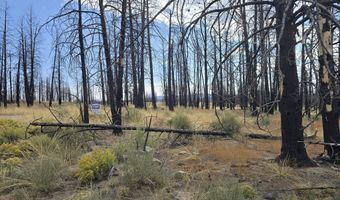 Valley Oak Lane, Bly, OR 97622
