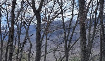 Steve Brown Rd, Bean Station, TN 37708