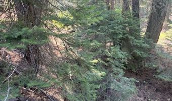 Ranch Rd, Alturas, CA 96101