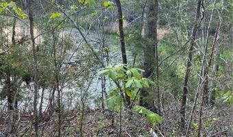 Selma Road, Amelia, VA 23083