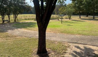 392 CR 1590, Alba, TX 75410